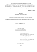 Иванов Аркадий Александрович. Клиника, диагностика и оперативное лечение мальформации Киари I типа в разных возрастных группах: дис. кандидат наук: 14.01.18 - Нейрохирургия. ФГБУ «Национальный медицинский исследовательский центр имени В.А. Алмазова» Министерства здравоохранения Российской Федерации. 2016. 213 с.