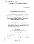 Рукин, Владимир Васильевич. Контроллинг в системе управления интегрированными промышленными корпорациями: Организационно-экономические и социальные аспекты внутреннего аудита: дис. кандидат экономических наук: 08.00.05 - Экономика и управление народным хозяйством: теория управления экономическими системами; макроэкономика; экономика, организация и управление предприятиями, отраслями, комплексами; управление инновациями; региональная экономика; логистика; экономика труда. Москва. 2005. 149 с.