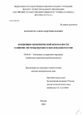 Малолетко, Александр Николаевич. Концепция экономической безопасности развития системы высшего образования России: дис. доктор экономических наук: 08.00.05 - Экономика и управление народным хозяйством: теория управления экономическими системами; макроэкономика; экономика, организация и управление предприятиями, отраслями, комплексами; управление инновациями; региональная экономика; логистика; экономика труда. Москва. 2009. 327 с.