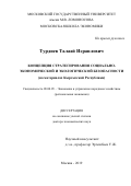 Турдиев Талаай Исраилович. Концепция стратегирования социально-экономической и экологической безопасности (на материалах Кыргызской Республики): дис. доктор наук: 08.00.05 - Экономика и управление народным хозяйством: теория управления экономическими системами; макроэкономика; экономика, организация и управление предприятиями, отраслями, комплексами; управление инновациями; региональная экономика; логистика; экономика труда. ФГБОУ ВО «Московский государственный университет имени М.В. Ломоносова». 2019. 386 с.