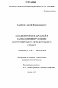 Калёнов, Сергей Владимирович. Культивирование дрожжей и галобактерий в условиях контролируемого окислительного стресса: дис. кандидат технических наук: 03.00.23 - Биотехнология. Москва. 2007. 200 с.