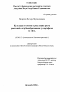 Назарова, Нигора Нурахмадовна. Культура столонов и регуляция роста растений и клубнеобразование у картофеля in vitro: дис. кандидат биологических наук: 03.00.12 - Физиология и биохимия растений. Душанбе. 2006. 117 с.