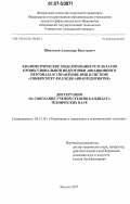 Шмельков, Александр Васильевич. Квалиметрическое моделирование результатов профессиональной подготовки авиационного персонала и управление ими в системе "Университет-колледж-авиапредприятие": дис. кандидат технических наук: 05.13.10 - Управление в социальных и экономических системах. Москва. 2007. 224 с.