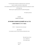РАТЬЕВ  АНДРЕЙ  ПЕТРОВИЧ. ЛЕЧЕНИЕ ПОВРЕЖДЕНИЙ ОБЛАСТИ ЛОКТЕВОГО СУСТАВА: дис. доктор наук: 14.01.15 - Травматология и ортопедия. ФГАОУ ВО Первый Московский государственный медицинский университет имени И.М. Сеченова Министерства здравоохранения Российской Федерации (Сеченовский Университет). 2015. 252 с.