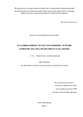 Носов Александр Константинович. Малоинвазивное органосохраняющее лечение клинически локализованного рака почки.: дис. доктор наук: 00.00.00 - Другие cпециальности. ФГБУ «Национальный медицинский исследовательский центр онкологии имени Н.Н. Петрова» Министерства здравоохранения Российской Федерации. 2022. 344 с.