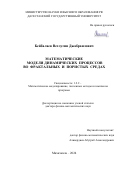 Бейбалаев Ветлугин Джабраилович. Математические модели динамических процессов во фрактальных и пористых средах: дис. доктор наук: 00.00.00 - Другие cпециальности. ФГБОУ ВО «Ульяновский государственный университет». 2024. 271 с.