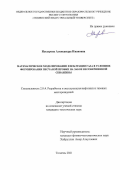 Насырова Александра Ивановна. Математическое моделирование фильтрации газа в условиях формирования песчаной пробки на забое несовершенной скважины: дис. кандидат наук: 00.00.00 - Другие cпециальности. ФГБОУ ВО «Тюменский индустриальный университет». 2022. 114 с.