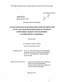 Слюсарев, Михаил Иванович. Математическое моделирование гидротермической структуры свободноконвективного переноса криогенных жидкостей в наземных стационарных хранилищах: дис. доктор технических наук: 05.13.18 - Математическое моделирование, численные методы и комплексы программ. Воронеж. 2011. 422 с.