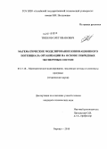 Тишков, Олег Иванович. Математическое моделирование инновационного потенциала организации на основе гибридных экспертных систем: дис. кандидат технических наук: 05.13.18 - Математическое моделирование, численные методы и комплексы программ. Барнаул. 2010. 170 с.