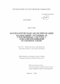 Меач Мон. Математическое моделирование колебаний струнных и стержневых систем с локализованными особенностями: дис. кандидат наук: 05.13.18 - Математическое моделирование, численные методы и комплексы программ. Воронеж. 2014. 135 с.