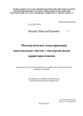 Мишин, Максим Юрьевич. Математическое моделирование многоцелевых систем с гистерезисными характеристиками: дис. кандидат наук: 05.13.18 - Математическое моделирование, численные методы и комплексы программ. Воронеж. 2015. 100 с.