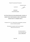 Нефедов, Алексей Николаевич. Математическое моделирование, оценка и выбор многопериодных инвестиционных проектов в условиях риска: дис. кандидат физико-математических наук: 05.13.18 - Математическое моделирование, численные методы и комплексы программ. Тверь. 2008. 156 с.