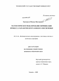 Григорьев, Михаил Викторович. Математическое моделирование верификации процесса разработки программного обеспечения: дис. кандидат технических наук: 05.13.18 - Математическое моделирование, численные методы и комплексы программ. Тюмень. 2009. 135 с.