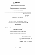 Беданокова, Саида Юрьевна. Математическое моделирование водного и солевого режимов в почвах с фрактальной организацией: дис. кандидат физико-математических наук: 05.13.18 - Математическое моделирование, численные методы и комплексы программ. Нальчик. 2007. 102 с.