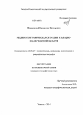 Шкуринский, Бронислав Викторович. Медико-географическая ситуация в Западно-Казахстанской области: дис. кандидат наук: 25.00.24 - Экономическая, социальная и политическая география. Уральск. 2014. 160 с.