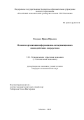 Владыко Ирина Юрьевна. Механизм организации информационно-коммуникационного взаимодействия в макрорегионе: дис. кандидат наук: 00.00.00 - Другие cпециальности. ФГБОУ ВО «Российский экономический университет имени Г.В. Плеханова». 2024. 265 с.