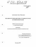 Антамошкина, Елена Николаевна. Механизм регулирования рынка трудовых ресурсов аграрной сферы России: дис. кандидат экономических наук: 08.00.01 - Экономическая теория. Волгоград. 2004. 173 с.