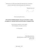 Лисица Альберт Евгеньевич. Механизм влияния вязких сред на отдельные стадии реакции, катализируемой бактериальной люциферазой: дис. кандидат наук: 00.00.00 - Другие cпециальности. ФГБНУ «Федеральный исследовательский центр «Красноярский научный центр Сибирского отделения Российской академии наук». 2023. 123 с.