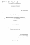 Ветрова, Елена Владимировна. Механизмы действия редокс-активных соединений на биолюминесцентную биферментную систему НАД(Ф)Н: ФМН-оксидоредуктаза-люцифераза: дис. кандидат биологических наук: 03.00.02 - Биофизика. Красноярск. 2002. 128 с.