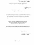 Новачук, Михаил Валентинович. Механизмы формирования и развития корпоративных образований в России в условиях глобализации: дис. кандидат экономических наук: 08.00.05 - Экономика и управление народным хозяйством: теория управления экономическими системами; макроэкономика; экономика, организация и управление предприятиями, отраслями, комплексами; управление инновациями; региональная экономика; логистика; экономика труда. Краснодар. 2004. 193 с.