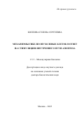 Копеина Гелина Сергеевна. Механизмы гибели опухолевых клеток в ответ на стимуляцию внутреннего пути апоптоза: дис. доктор наук: 00.00.00 - Другие cпециальности. ФГБУН Институт молекулярной биологии им. В.А. Энгельгардта Российской академии наук. 2023. 56 с.