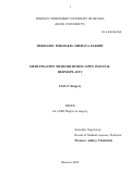 Мекхаеэль Мекхаеэль Шехата Факхри. Mesh fixation methods during open inguinal hernioplasty (Сравнение способов фиксации синтетических имплантатов при паховых герниопластиках передним доступом): дис. кандидат наук: 14.01.17 - Хирургия. ФГАОУ ВО «Российский университет дружбы народов». 2022. 152 с.