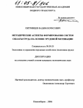 Хитринцев, Вадим Борисович. Методические аспекты формирования систем оплаты труда на основе трудовой мотивации: дис. кандидат экономических наук: 08.00.05 - Экономика и управление народным хозяйством: теория управления экономическими системами; макроэкономика; экономика, организация и управление предприятиями, отраслями, комплексами; управление инновациями; региональная экономика; логистика; экономика труда. Новосибирск. 2004. 172 с.