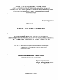 Горлов, Александр Владимирович. Методический подход к оценке потенциала инвестиционной привлекательности и его эффективному использованию: на примере Амурской области: дис. кандидат экономических наук: 08.00.05 - Экономика и управление народным хозяйством: теория управления экономическими системами; макроэкономика; экономика, организация и управление предприятиями, отраслями, комплексами; управление инновациями; региональная экономика; логистика; экономика труда. Благовещенск. 2009. 169 с.