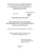 Журавлева, Ольга Анатольевна. Методическое обеспечение управленческого стратегического учета и отчетности: дис. кандидат экономических наук: 08.00.12 - Бухгалтерский учет, статистика. Красноярск. 2011. 223 с.