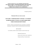 Мошкина Наталья Анатольевна. Методика тренировочного процесса пловцов тренировочных групп на основе выявления типологии биоэнергетики: дис. кандидат наук: 13.00.04 - Теория и методика физического воспитания, спортивной тренировки, оздоровительной и адаптивной физической культуры. ФГБОУ ВО «Российский государственный педагогический университет им. А.И. Герцена». 2021. 185 с.