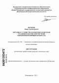 Щучкин, Денис Александрович. Методы и устройства магнитного контроля стальных канатов для системы управления полярным краном АЭС: дис. кандидат технических наук: 05.13.05 - Элементы и устройства вычислительной техники и систем управления. Новочеркасск. 2012. 200 с.