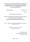 Потапов, Александр Александрович. Методы мультимасштабного мониторинга волновых полей высокого разрешения на платформе цифровых проблемно-ориентированных моделей: дис. кандидат наук: 05.11.13 - Приборы и методы контроля природной среды, веществ, материалов и изделий. Москва. 2013. 377 с.