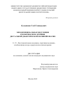 Кузьминов Глеб Геннадьевич. Мезодиэнцефальная модуляция в комплексном лечении дистальной диабетической полинейропатии: дис. кандидат наук: 00.00.00 - Другие cпециальности. ФГБУ «Национальный медицинский исследовательский центр реабилитации и курортологии» Министерства здравоохранения Российской Федерации. 2022. 133 с.