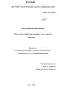 Шульга, Надежда Викторовна. Мифологема в структуре массового политического сознания: дис. кандидат философских наук: 09.00.11 - Социальная философия. Омск. 2006. 175 с.