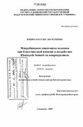 Ильина, Наталья Анатольевна. Микробиоценоз кишечника человека при бластоцистной инвазии и воздействие Blastocystis hominis на макроорганизм: дис. доктор биологических наук: 03.00.07 - Микробиология. Ульяновск. 2005. 307 с.