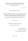 Комарова Валерия Александровна. Микроэволюционные процессы на выраженном высотном градиенте в горных тропиках на примере крапчатых жестковолосых мышей Lophuromys flavopunctatus s.l.: дис. кандидат наук: 00.00.00 - Другие cпециальности. ФГБУН Институт проблем экологии и эволюции им. А.Н. Северцова Российской академии наук. 2023. 235 с.