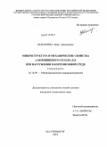 Шаклеина, Вера Аркадьевна. Микроструктура и механические свойства алюминиевого сплава Д16 при нагружении в коррозионной среде: дис. кандидат технических наук: 05.16.09 - Материаловедение (по отраслям). Екатеринбург. 2010. 146 с.