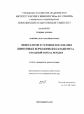 Затеева, Светлана Николаевна. Минералогия и условия образования пирогенных пород комплекса Наби Муса, западный берег р. Иордан: дис. кандидат геолого-минералогических наук: 25.00.05 - Минералогия, кристаллография. Новосибирск. 2009. 237 с.