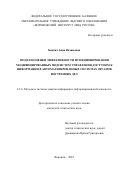 Бацких Анна Вадимовна. Модели оценки эффективности функционирования модифицированных подсистем управления доступом к информации в автоматизированных системах органов внутренних дел: дис. кандидат наук: 00.00.00 - Другие cпециальности. ФГКОУ ВО «Воронежский институт Министерства внутренних дел Российской Федерации». 2022. 190 с.