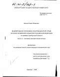 Калина, Роман Исаакович. Моделирование экономико-информационной среды органов управления субъектом Российской Федерации: На примере Оренбургской области: дис. кандидат экономических наук: 08.00.13 - Математические и инструментальные методы экономики. Оренбург. 1999. 199 с.