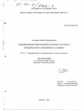 Колпиков, Павел Владимирович. Моделирование финансовой политики торгового предприятия в современных условиях: дис. кандидат экономических наук: 08.00.13 - Математические и инструментальные методы экономики. Москва. 2001. 240 с.