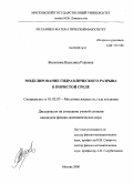 Филонова (Тагирова), Василина Рифовна. Моделирование гидравлического разрыва в пористой среде: дис. кандидат физико-математических наук: 01.02.05 - Механика жидкости, газа и плазмы. Москва. 2008. 147 с.