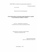 Махныткина, Олеся Владимировна. Моделирование и оптимизация индивидуальной траектории обучения студента: дис. кандидат наук: 05.13.10 - Управление в социальных и экономических системах. Новосибирск. 2013. 132 с.