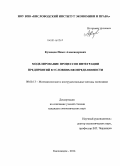 Кузнецов, Павел Александрович. Моделирование процессов интеграции предприятий в условиях неопределенности: дис. кандидат наук: 08.00.13 - Математические и инструментальные методы экономики. Кисловодск. 2014. 139 с.