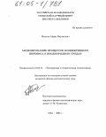 Ильясов, Айдар Мартисович. Моделирование процессов конвективного переноса в неоднородных средах: дис. кандидат физико-математических наук: 01.04.14 - Теплофизика и теоретическая теплотехника. Уфа. 2005. 143 с.