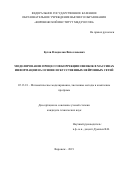 Бутов Владислав Вячеславович. Моделирование процессов коррекции ошибок в массивах информации на основе искусственных нейронных сетей: дис. кандидат наук: 05.13.18 - Математическое моделирование, численные методы и комплексы программ. ФГКОУ ВО «Воронежский институт Министерства внутренних дел Российской Федерации». 2019. 118 с.