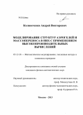 Колнооченко, Андрей Викторович. Моделирование структур аэрогелей и массопереноса в них с применением высокопроизводительных вычислений: дис. кандидат физико-математических наук: 05.13.18 - Математическое моделирование, численные методы и комплексы программ. Москва. 2013. 156 с.