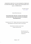 Кащеев Михаил Васильевич. Моделирование тяжелых аварий в обоснование безопасности быстрых реакторов с натриевым теплоносителем: дис. доктор наук: 05.14.03 - Ядерные энергетические установки, включая проектирование, эксплуатацию и вывод из эксплуатации. ФГБОУ ВО «Национальный исследовательский университет «МЭИ». 2018. 304 с.