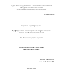 Евдокимов Андрей Григорьевич. Модифицированные высокопористые полимерные материалы на основе смесей синтетических волокон: дис. кандидат наук: 00.00.00 - Другие cпециальности. ФГБУН Федеральный исследовательский центр химической физики им. Н.Н. Семенова Российской академии наук. 2024. 116 с.