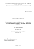 Курочкин Иван Юрьевич. Молекулярная структура, ИК-спектры и энергетика некоторых макрогетероциклов на основе пиррола и изоиндола: дис. кандидат наук: 00.00.00 - Другие cпециальности. ФГБОУ ВО «Ивановский государственный химико-технологический университет». 2024. 153 с.